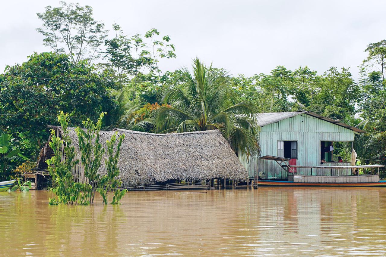 Rio Juruá ultrapassa cota de transbordo e deixa o município de Porto Walter em estado de atenção